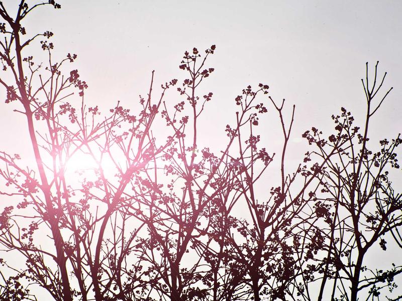 sudoku consecutive sudoku screenshot 4